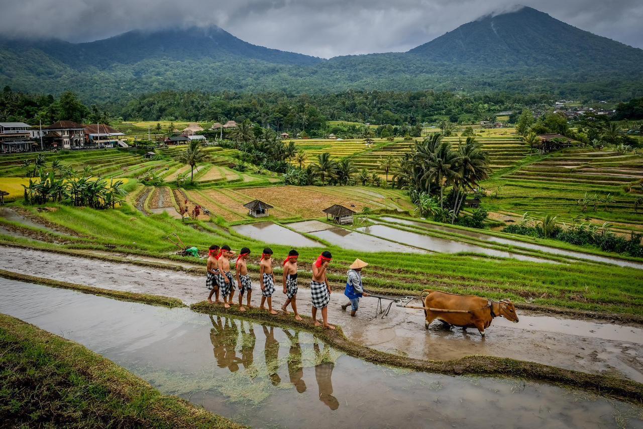 Wisata Nusantara 2025: Ekowisata, Desa Wisata, dan Transformasi Pariwisata Hijau