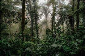 wisata Nusantara